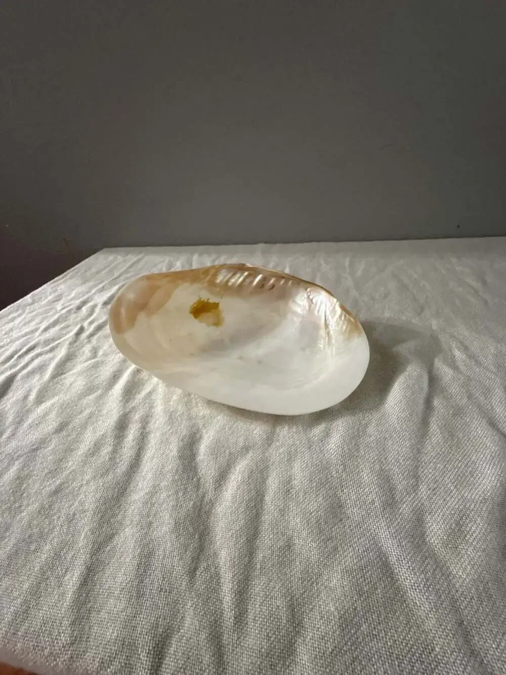 Natural Mother of Pearl Clam Shell Decorative Dish Bowl